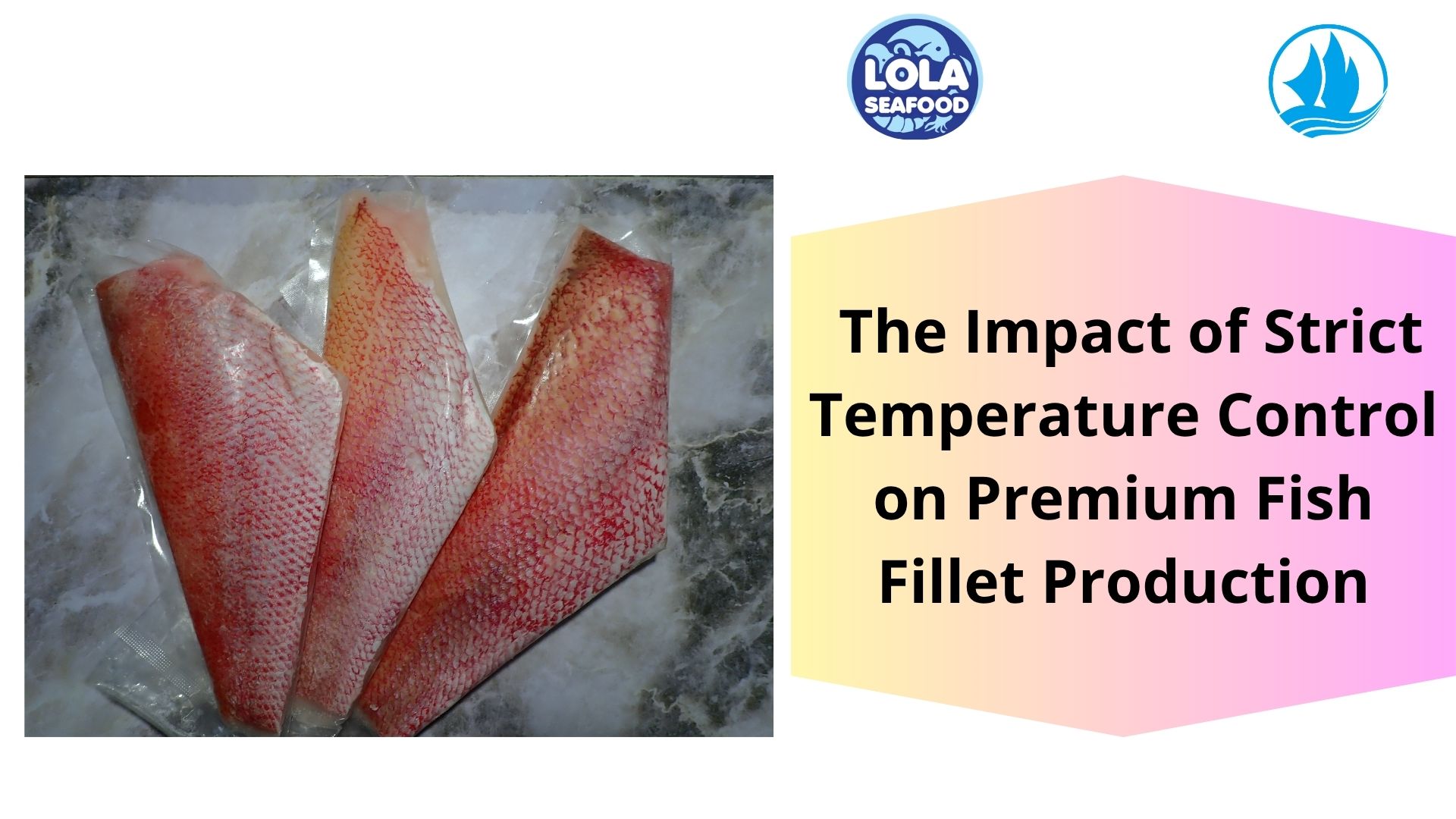   The Impact of Strict Temperature Control on Premium Fish Fillet Production